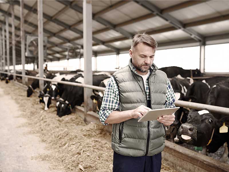 Advancing Animal Science with iLES

